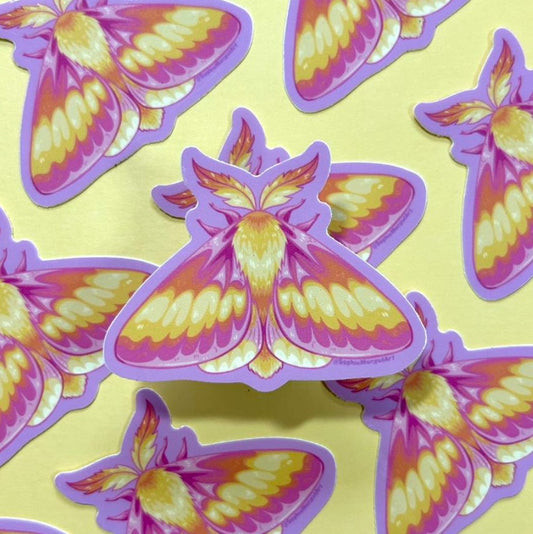 Rosy Maple Moth STICKER by @SophieMargotArt