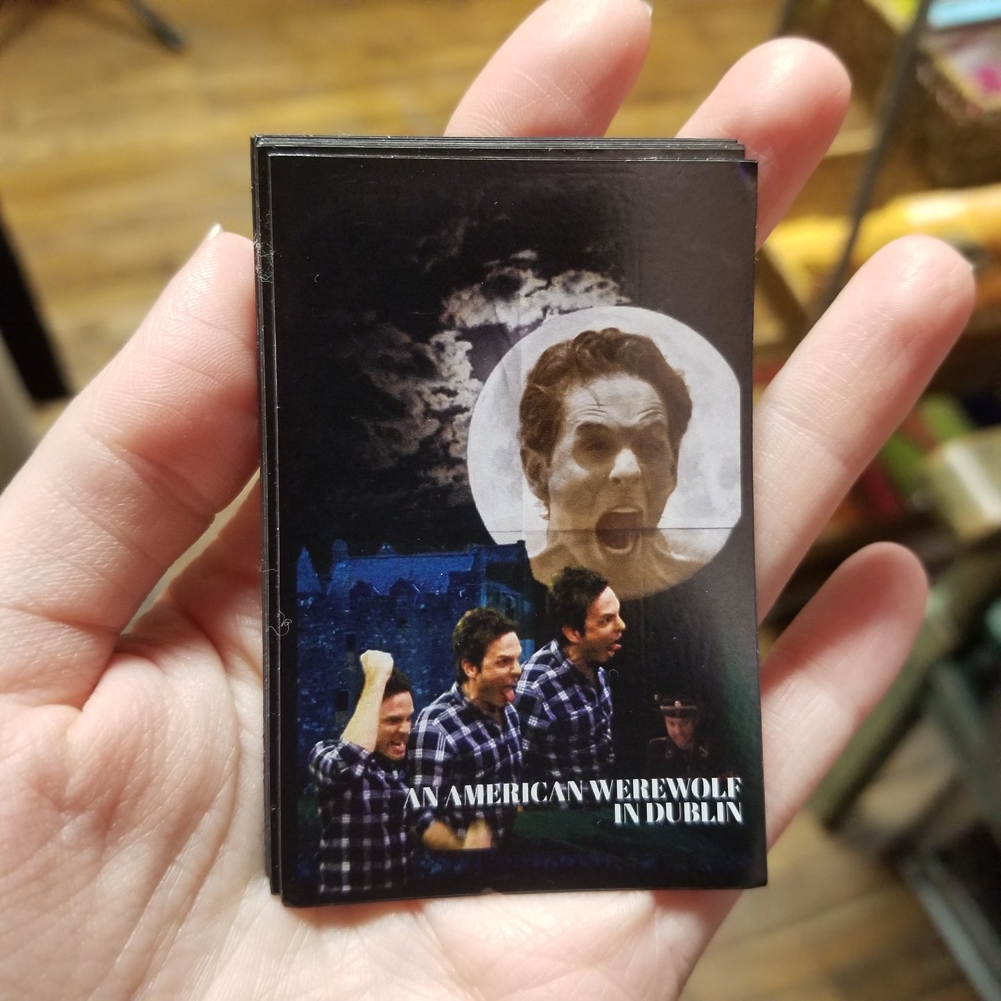 Sunny Horror An American Werewolf in Dublin Mashup MAGNET