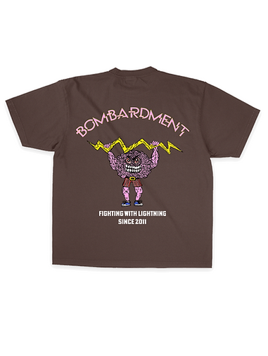 13 Years of Bombarding Bombardment Anniversary T-SHiRT