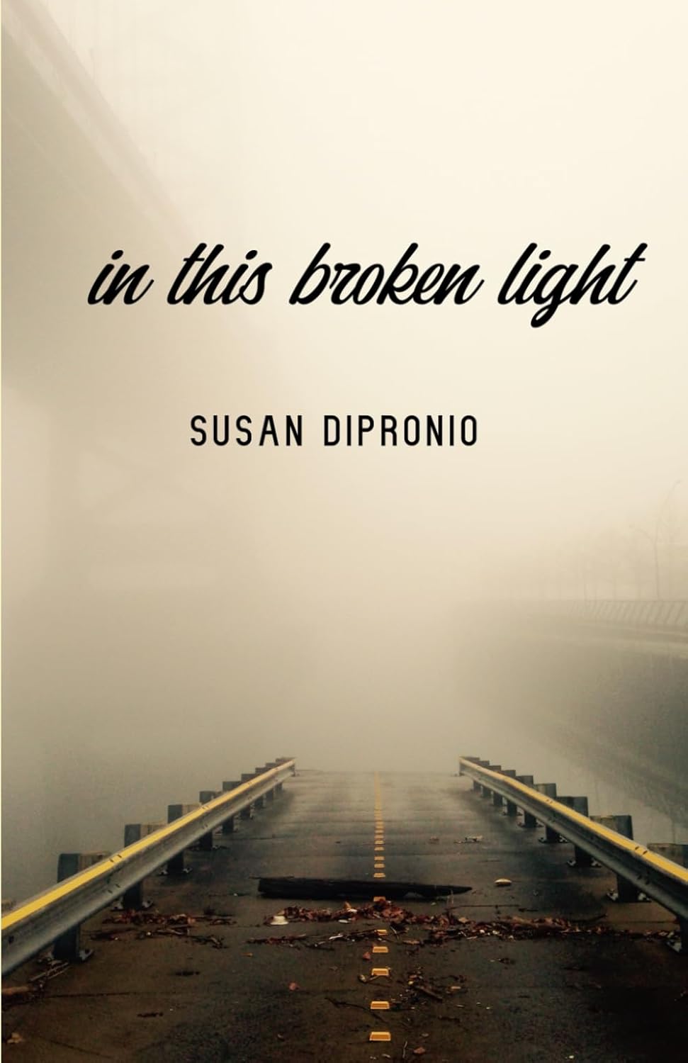 in this broken light: (my body has more scars than skin) BOOK by Susan DiPronio