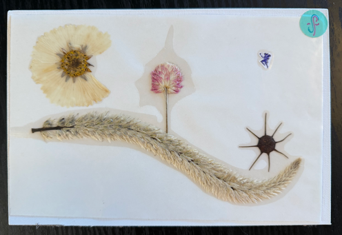 easy 1-up. 🩷, 🧚‍♀️PRESSED FLOWER STiCKER by a sticker fairy