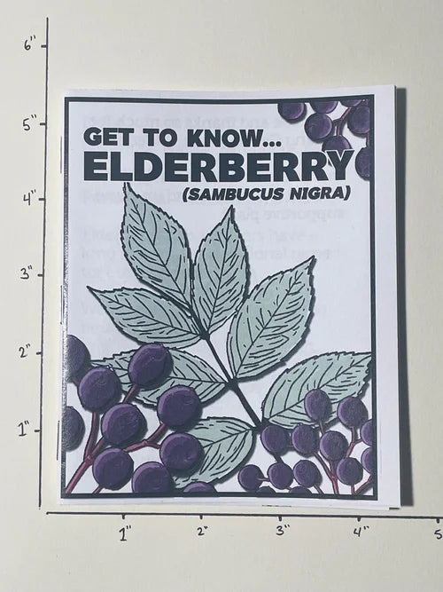 Get to Know: Elderberry ZiNE