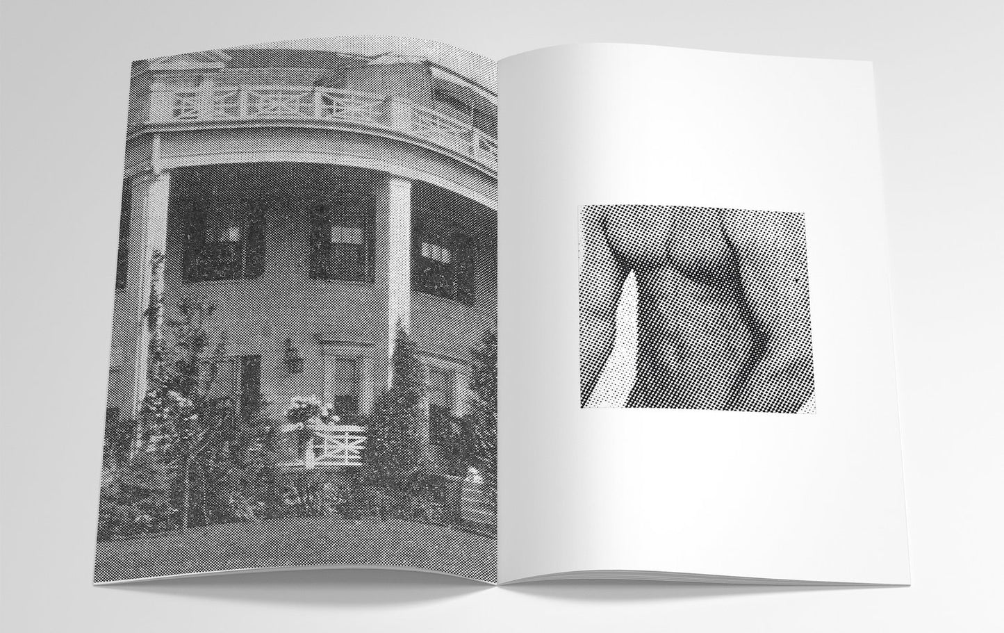 Better Homos and Gardens (Adult) ZiNE