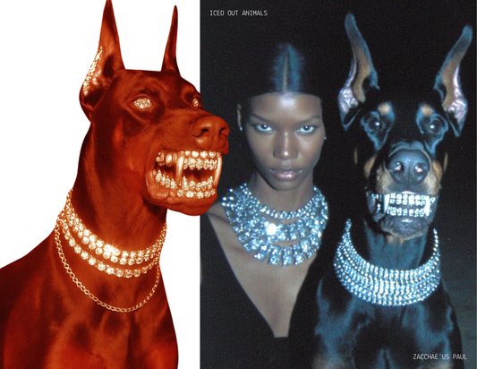 Iced Out Animals ZiNE by Zacchae'us Paul