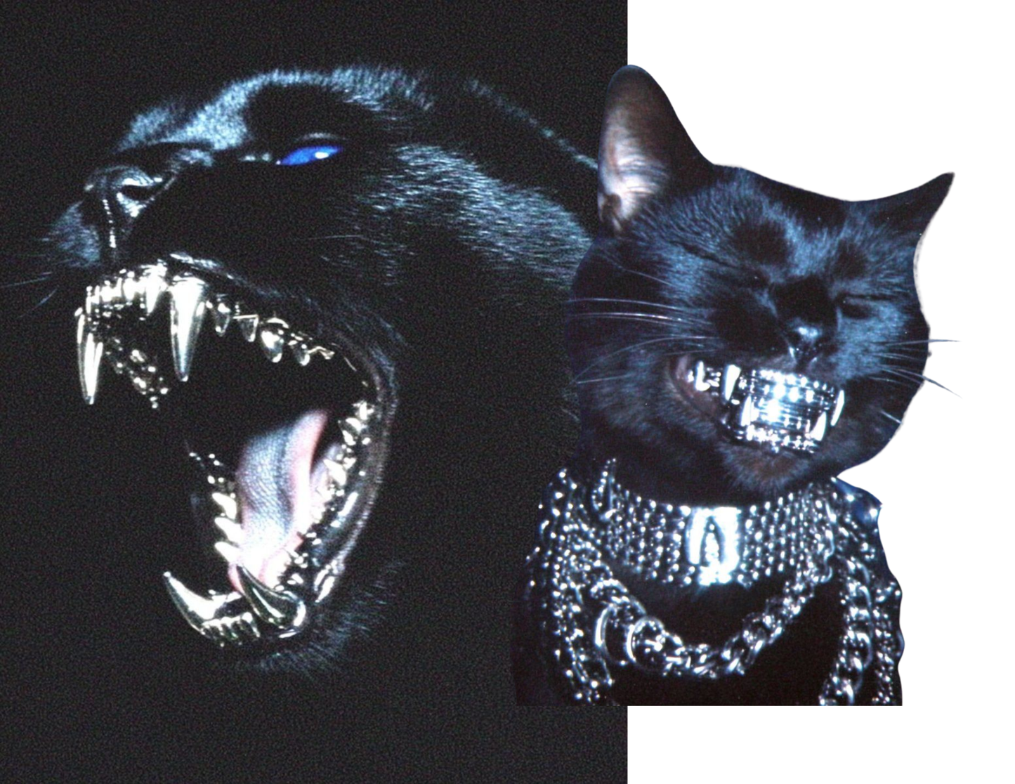 Iced Out Animals ZiNE by Zacchae'us Paul