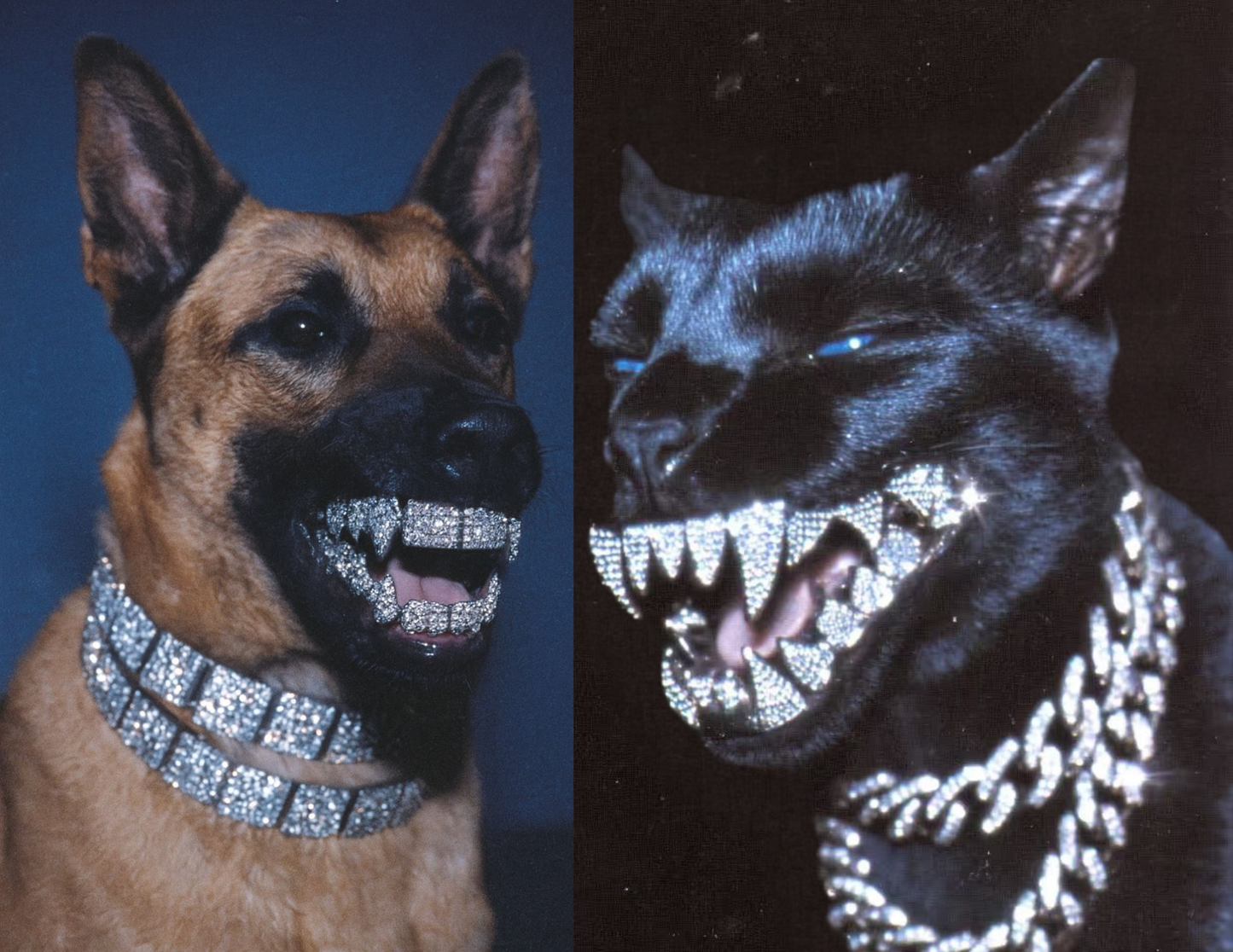 Iced Out Animals ZiNE by Zacchae'us Paul