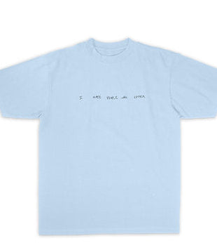 I Hate People Who Litter Car T-SHiRT by Bombardment