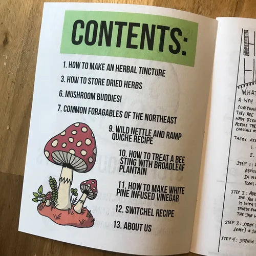 Seed Bomb ZiNE Issue #1 Stuff About Plants