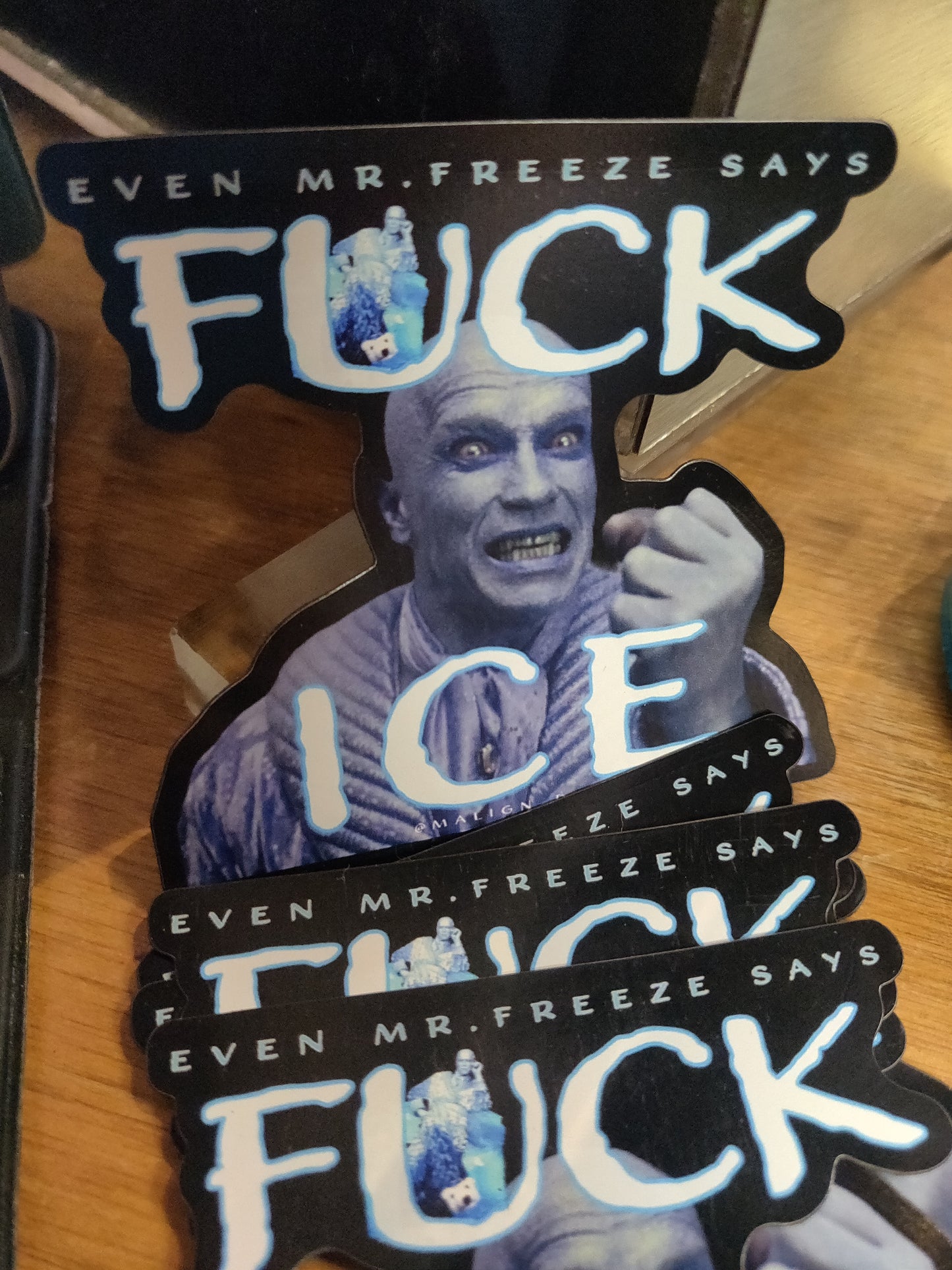 Even Mr. Freeze Says F Ice MAGNET