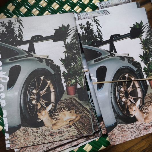 Car Wash vs. Car Detail ZiNE by Zacchae'us Paul
