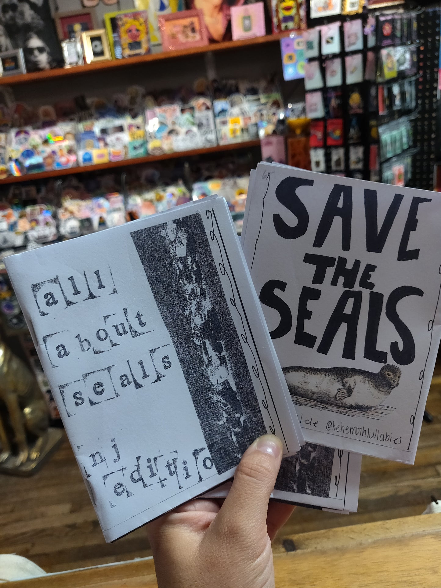 All About Seals ZiNE