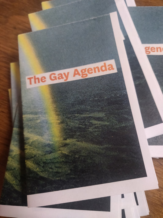 The Gay Agenda ( mini ) ZiNE