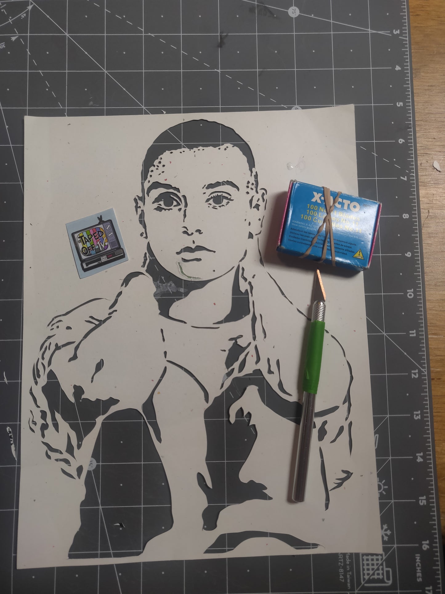 Fight The Real Enemy Sinéad Speaker WALL / SHELF ART by Taped Off TV