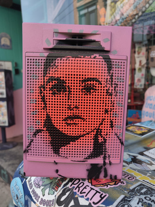 Fight The Real Enemy Sinéad Speaker WALL / SHELF ART by Taped Off TV