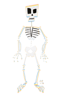 See Through Skeleton STICKER by Matt McGinnis