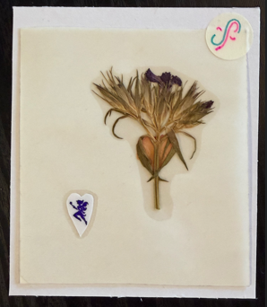 touch grass. 🩷, mom PRESSED FLOWER STiCKER by a sticker fairy