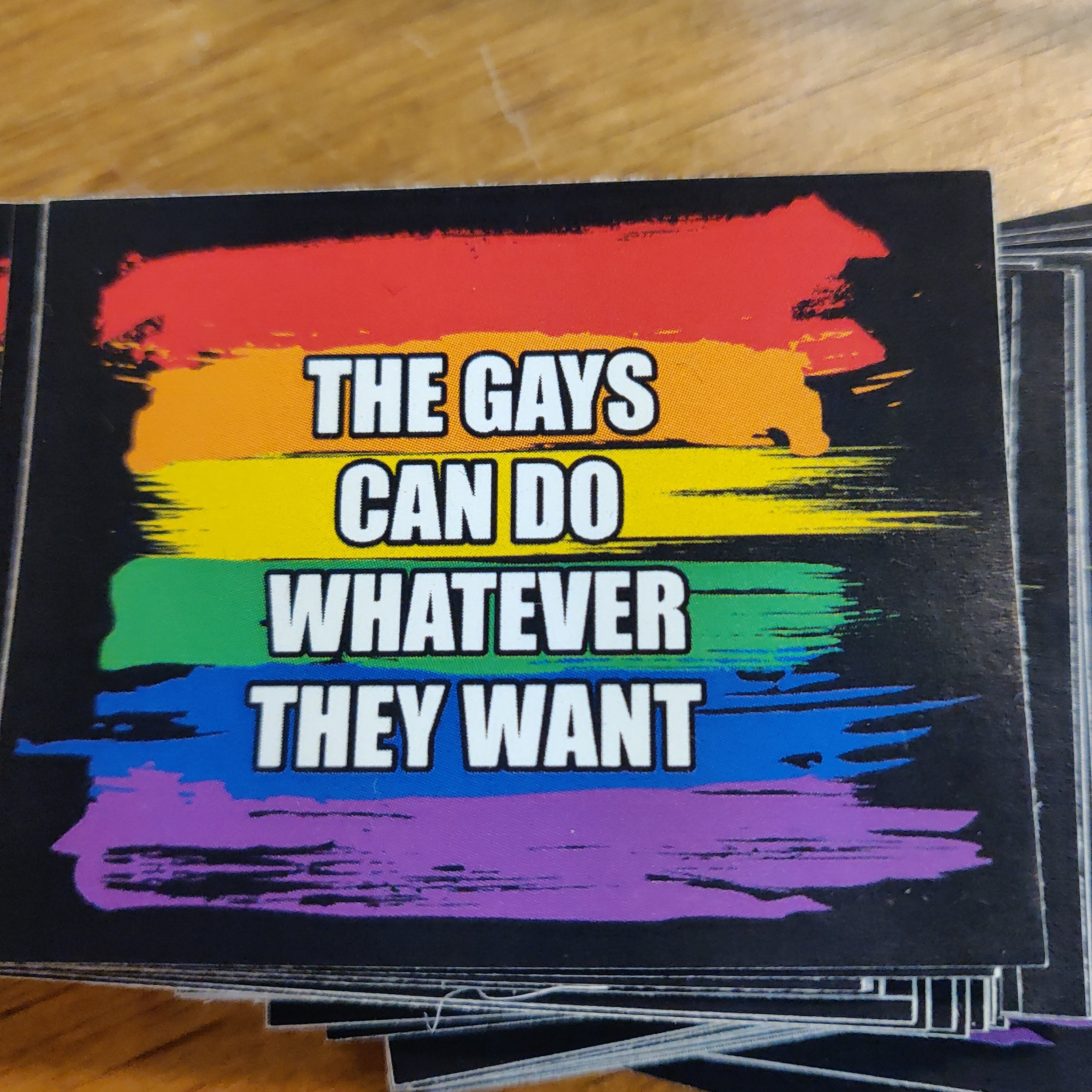 The Gays Can Do Whatever They Want STICKER