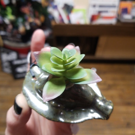Succulent Beeb ORNAMENT by The Ceramery