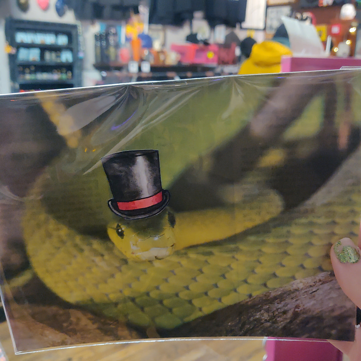 Top Hat Snake Collage Art by draculadco SouthStreetArtMart