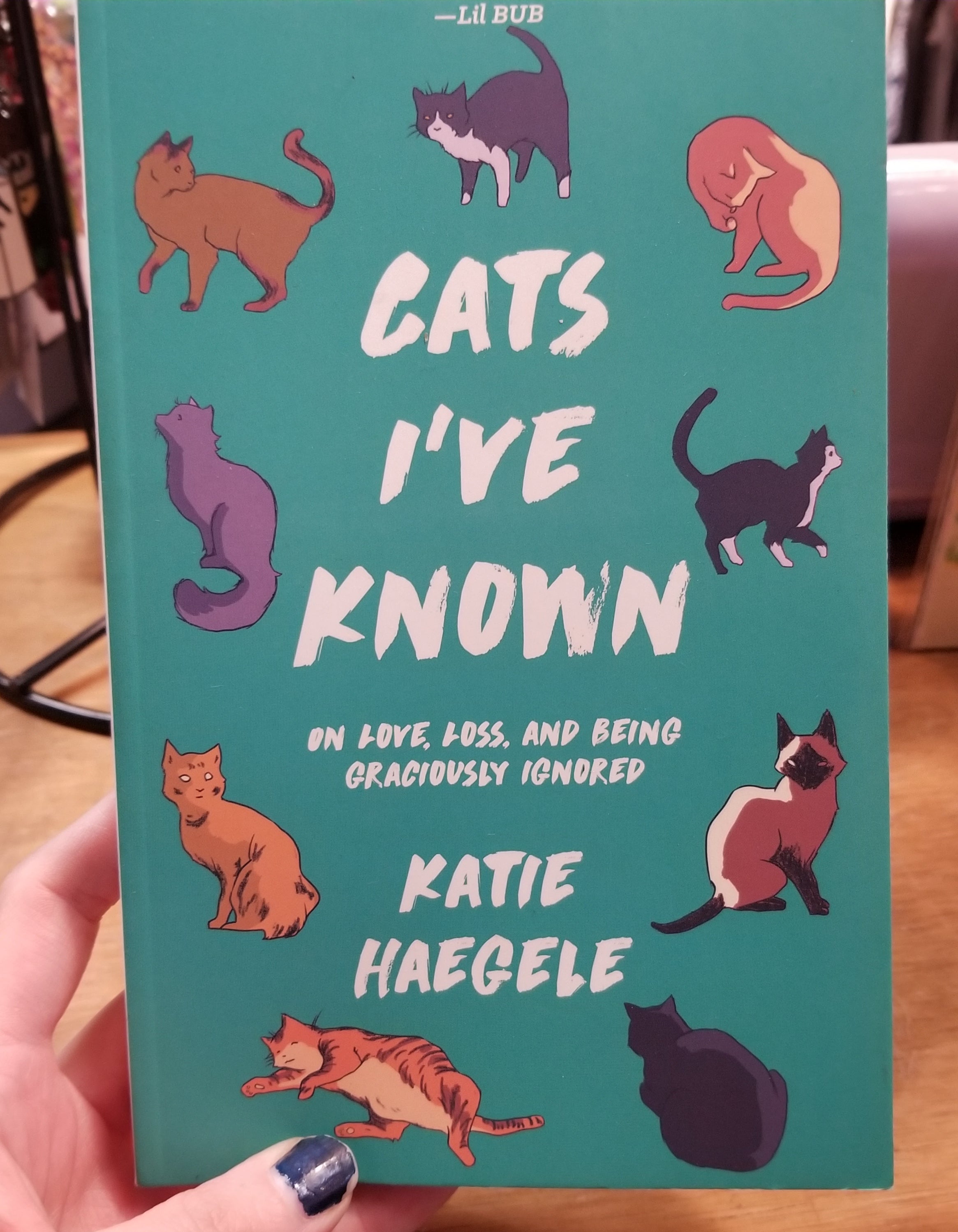 Cats I've Known: On Love, Loss, and Being Graciously Ignored BOOK  by Katie Haegele