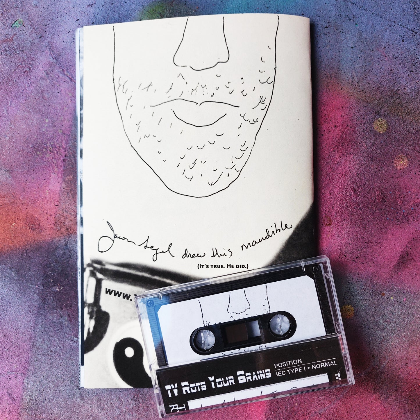 I'm With the Band ~ TV Rots Your Brains ZiNE Issue #4