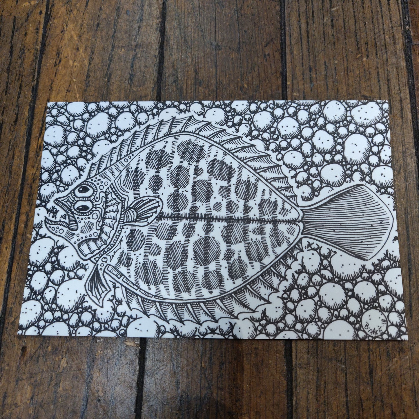 Weird Fish POSTCARDs
