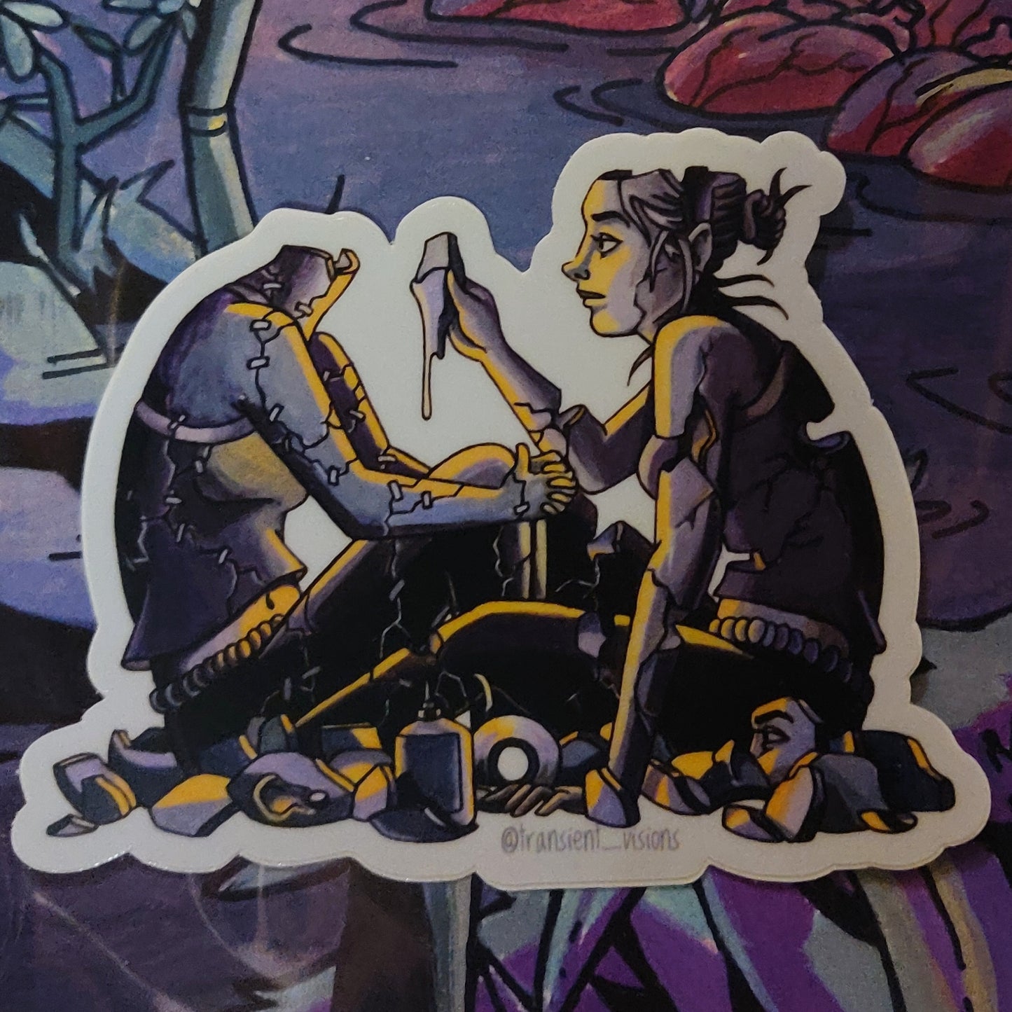 Transient Visions STICKERS