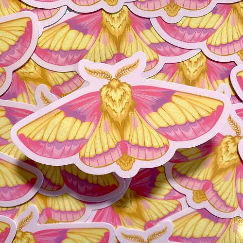 Rosy Maple Moth STICKER by @SophieMargotArt